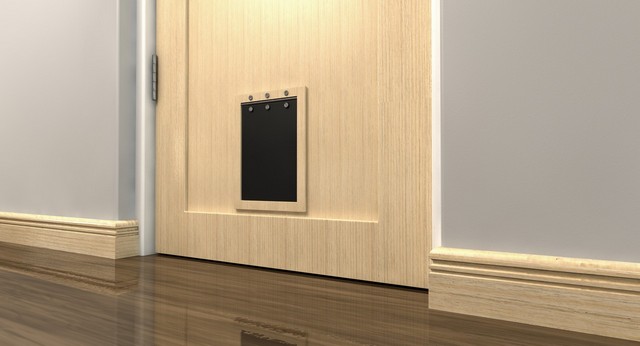 Cat Flap Installation Tottenham, N17