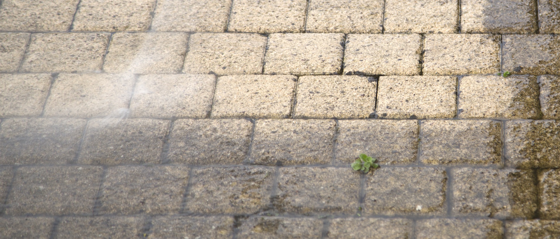 flagging and patios N17