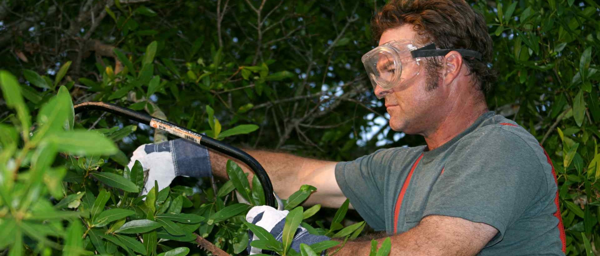 garden clearance N17